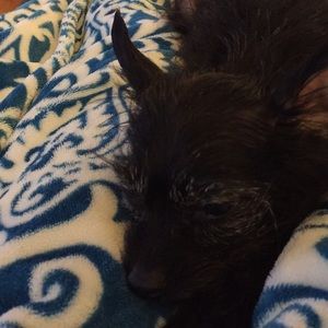 Meet your Posher, Natasha